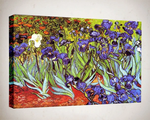 Kanvas Tablo - Van Gogh Tablolar İrisler  - VG14