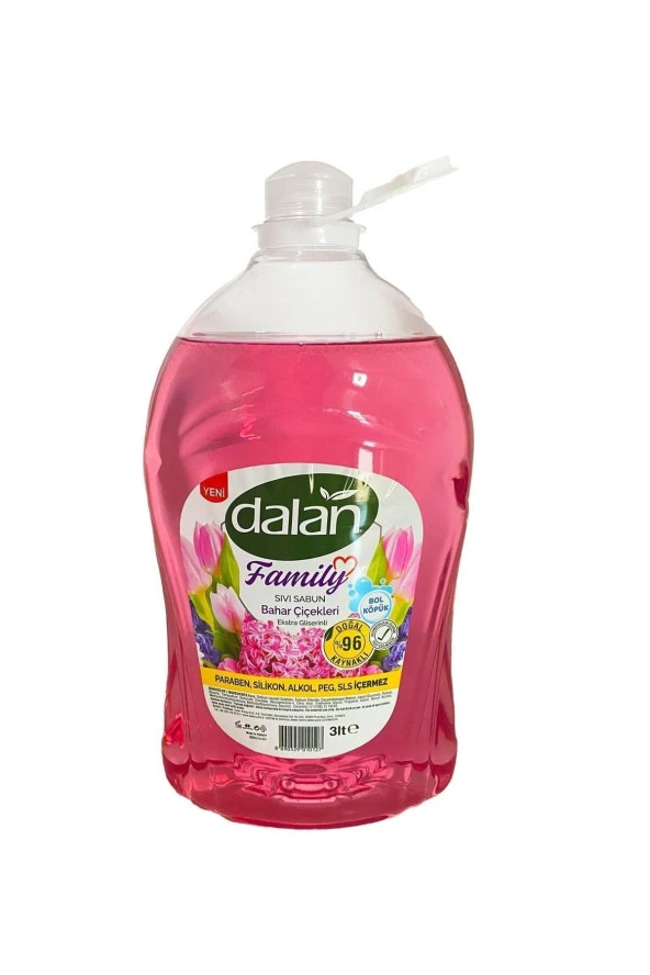DALAN Sıvı Sabun Family 3 Litre Bahar Çiçekleri