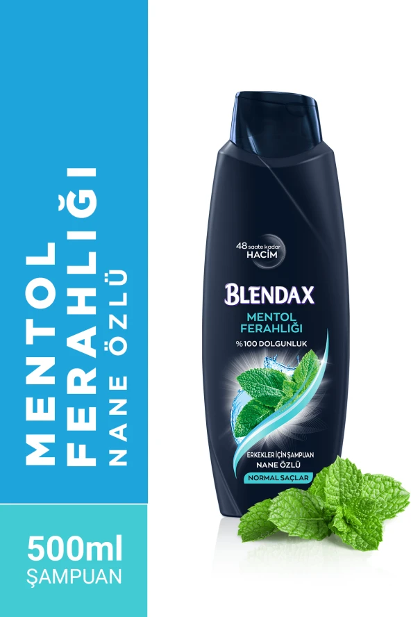 BLENDAX Erkekler Için Mentollü Şampuan 500 Ml