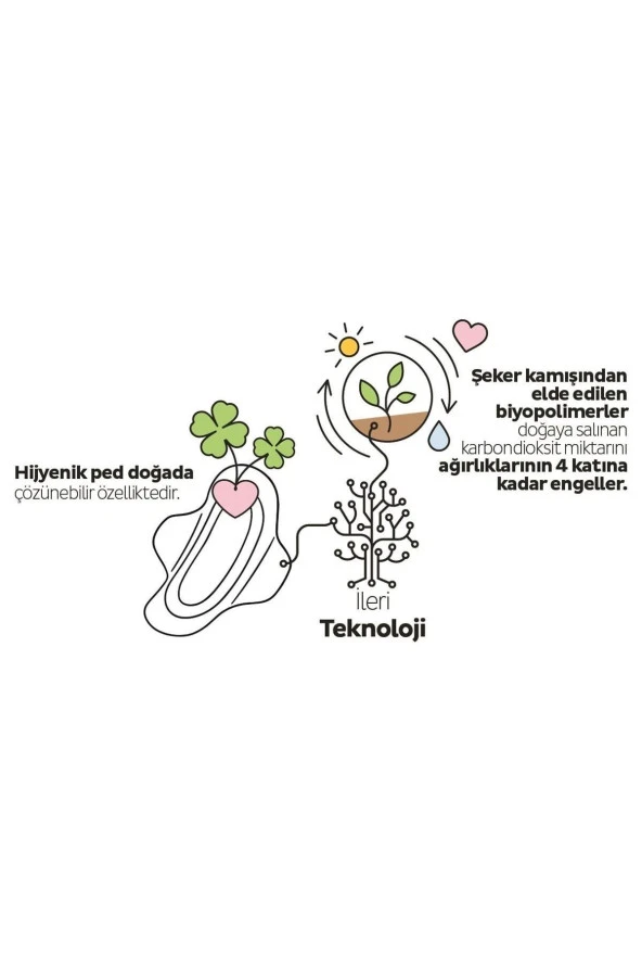 SLEEPY Ecologic Premium Plus Günlük Ped Normal 40 Adet Ped - 4
