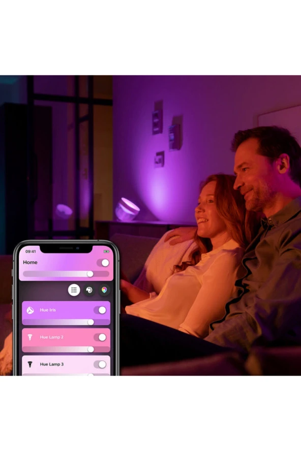 Philips Hue Iris Siyah - 929002376201