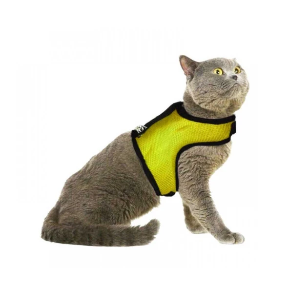 Air Fila Kedi Bel Tasması Sarı