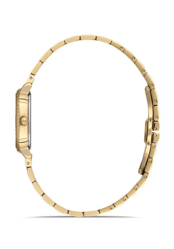 Momentus SS224G-09SG Bayan Kol Saati ürün görseli 1