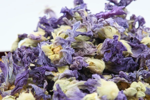 BUHARA HATMİ ÇİÇEĞİ 1000 GR - 2