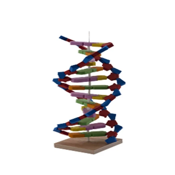 DENEY SETI DNA - 2