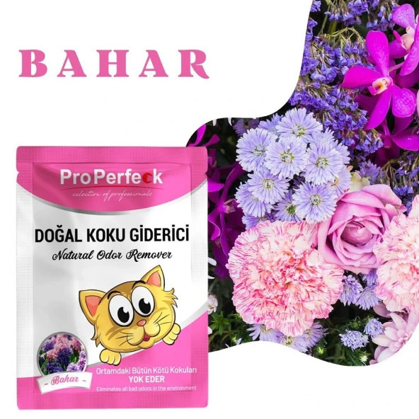 Pro Perfeck Bahar Kokulu Koku Giderici 25 gr