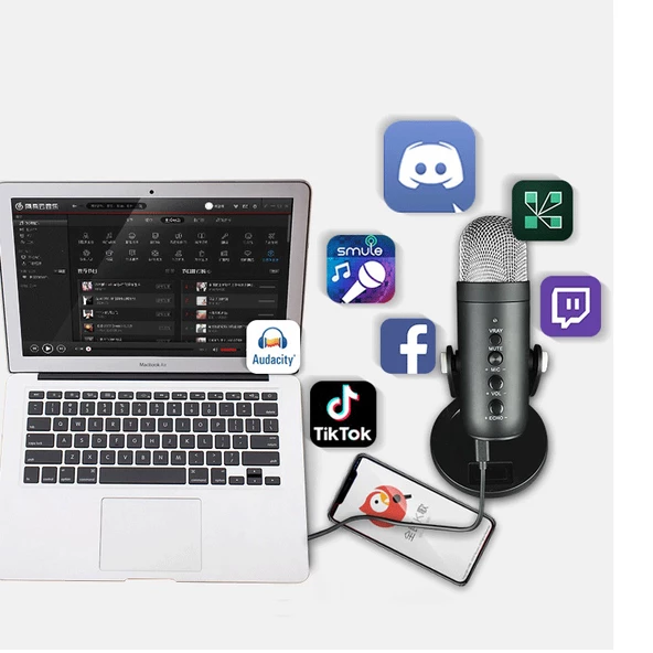 Profesyonel Stüdyo Mikrofon Kayıt Condenser Masaüstü Canlı Yayın Mikrofonu - 12