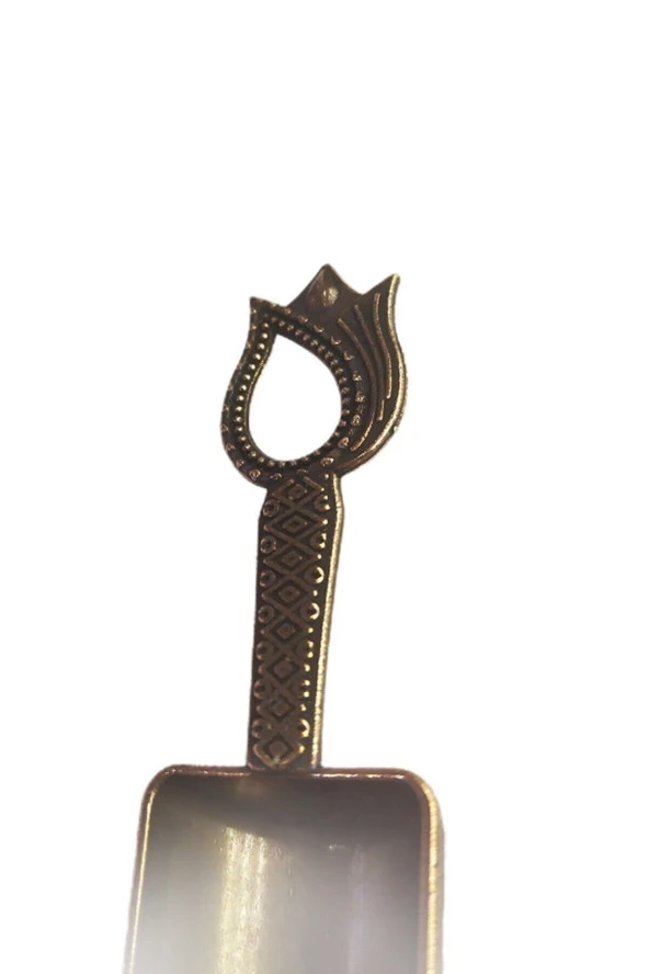 6 Adet Mini Kahve Ölçeği Baharat Ve Şeker Kaşığı Takımı - 3