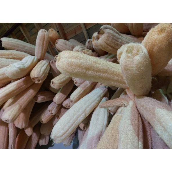 %100 Doğal Kabak Lifi - 2