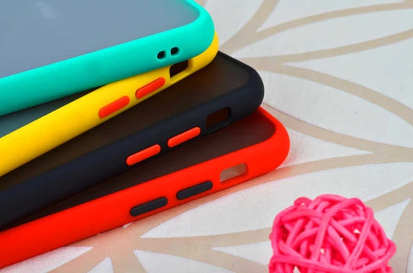Apple iPhone 6 Plus / 6S Plus Kılıf Arka Buzlu Mat Kapak - 4