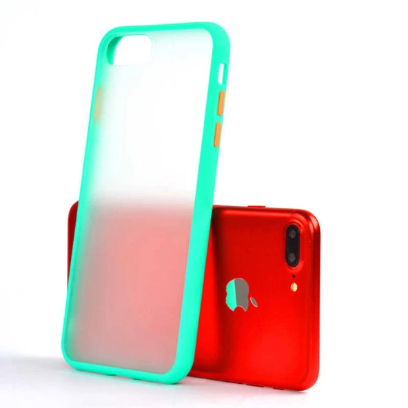 Apple iPhone 6 Plus / 6S Plus Kılıf Arka Buzlu Mat Kapak - 12