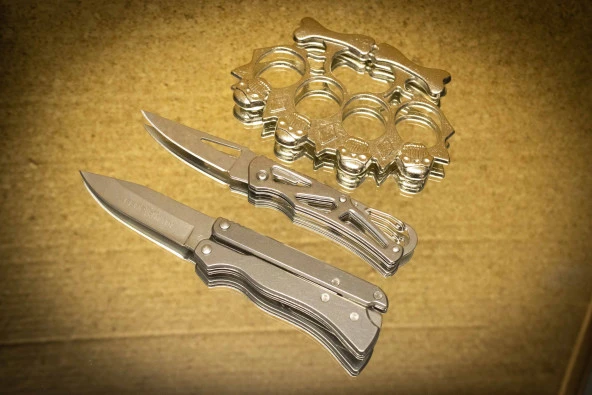 15 cm Gümüş Mıknatıslı Kelebek Set
