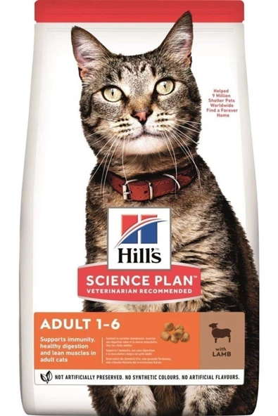 Hills Genç Kedi Maması Kuzu Etli 8+2 Kg - Resim 2