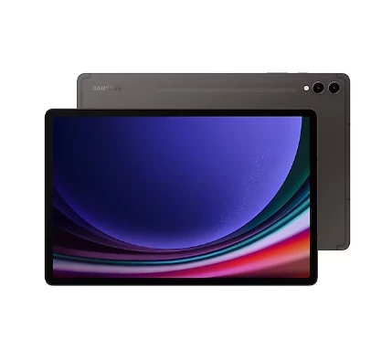 Samsung Galaxy Tab S9 Plus Wi-Fi SM-X810 Gri 256 GB 12.4" Tablet