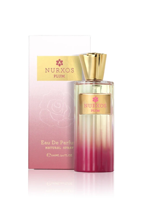 Nurxos 9846 Plum 100 ML Edp Kadın Parfümü 8681124698469