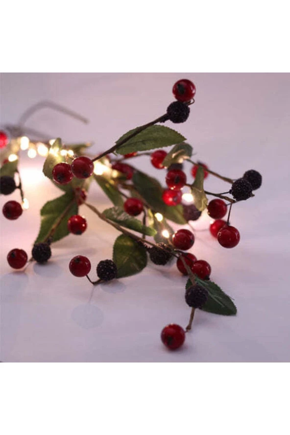 BY-LAMP Kokina Dalı Süsleme Işıkları - Resim 2