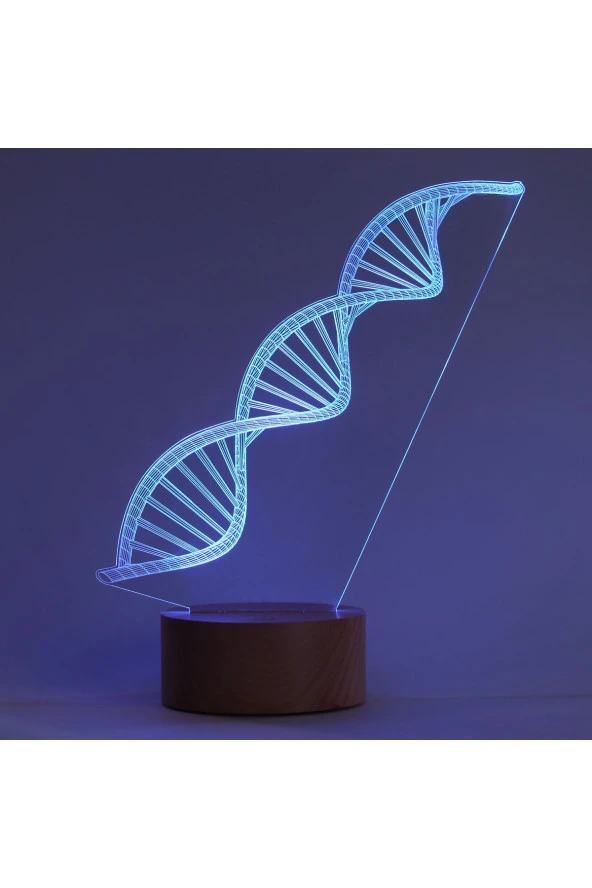 BY-LAMP DNA Çift Sarmal Figürlü Dekoratif Hediye Led Masa Lambası | 7 Işık Rengi | Ahşap Taban - Resim 3