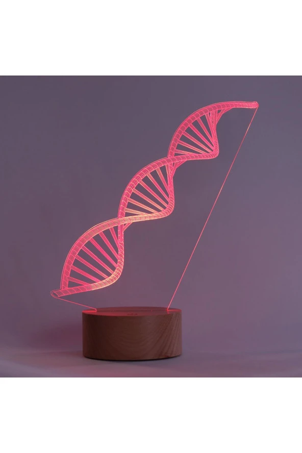 BY-LAMP DNA Çift Sarmal Figürlü Dekoratif Hediye Led Masa Lambası | 7 Işık Rengi | Ahşap Taban - Resim 4
