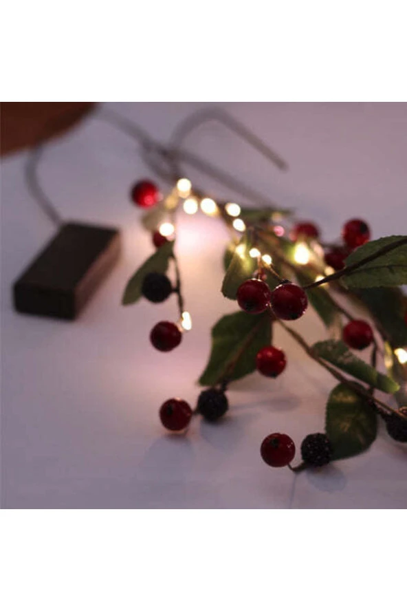 BY-LAMP Kokina Dalı Süsleme Işıkları ürün görseli 1