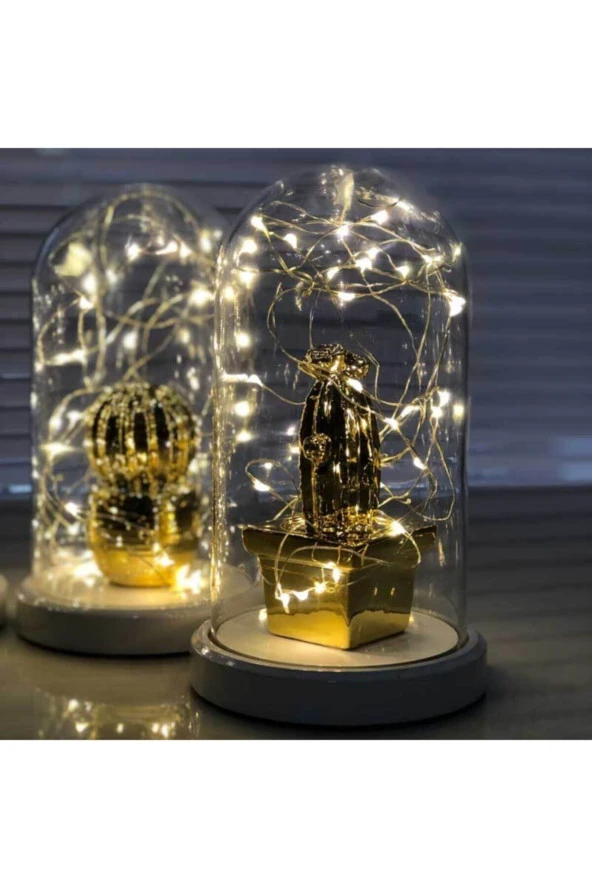 BY-LAMP Işıklı Fanus Gold Kare Kaktüs Figürlü Lamba Yeni Yıl Hediyesi Gece Lambası - Resim 2