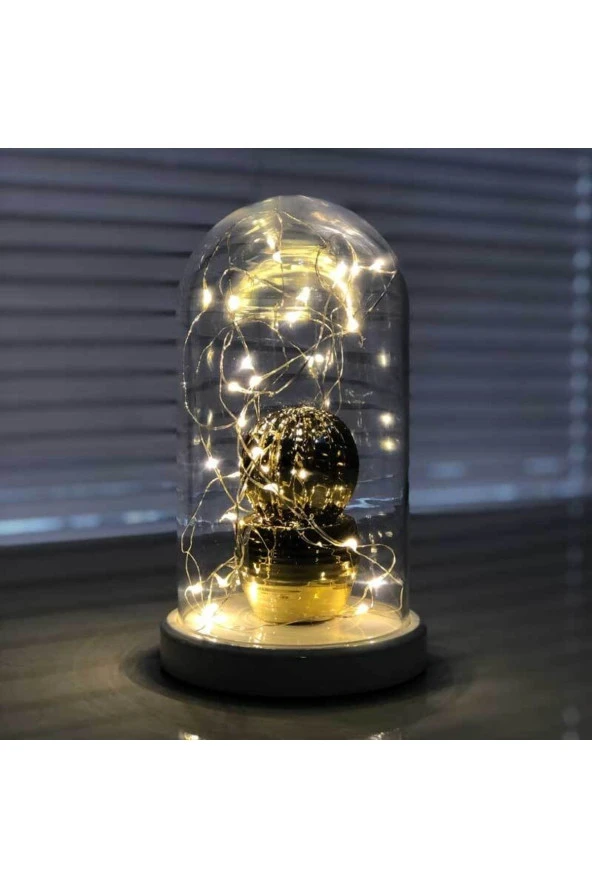 BY-LAMP Işıklı Fanus Gold Tombul Kaktüs Figürlü Lamba Hediyelik Gece Lambası ürün görseli 1
