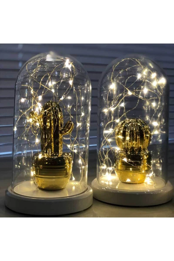 BY-LAMP Işıklı Fanus Gold Tombul Kaktüs Figürlü Lamba Hediyelik Gece Lambası - Resim 2