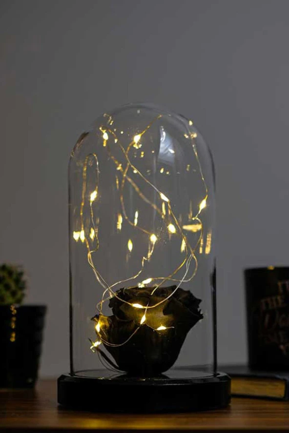 BY-LAMP Sevgiliye Özel Romantik Hediye Siyah Solmayan Gül Işıklı Cam Fanus Lamba