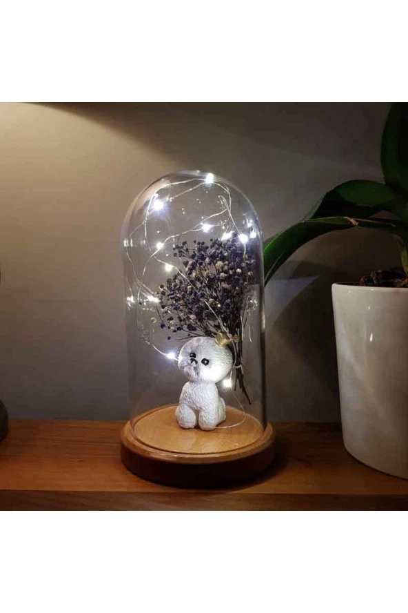 BY-LAMP Işıklı Fanus Sevimli Köpek Figürlü Lamba Gece Lambası Hediyesi Ahşap Taban - Resim 2