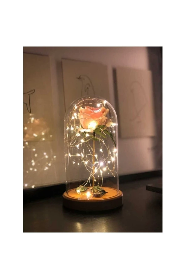 BY-LAMP Pembe Gül Işıklı Cam Fanus Lamba Sevgiliye Hediye Gece Lambası