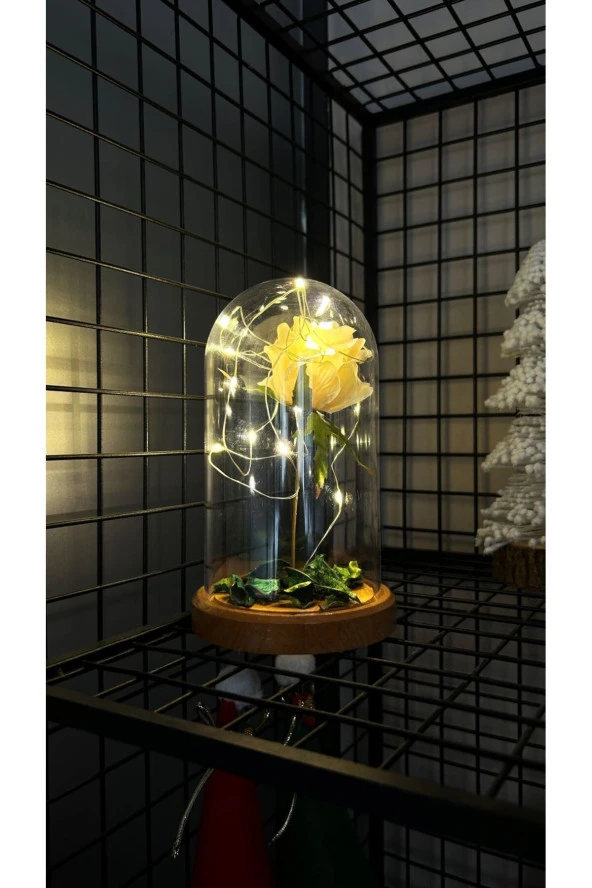 BY-LAMP Beyaz Gül Işıklı Cam Fanus Lamba Romantik Sevgililere Özel Hediye - Resim 2