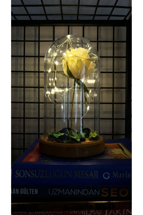 BY-LAMP Beyaz Gül Işıklı Cam Fanus Lamba Romantik Sevgililere Özel Hediye - Resim 3