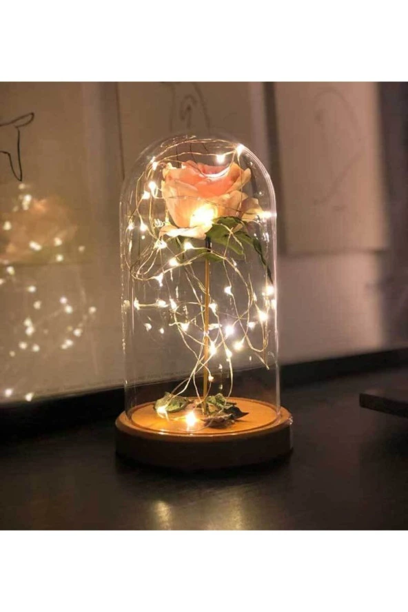 BY-LAMP Pembe Gül Işıklı Cam Fanus Lamba Sevgiliye Hediye Gece Lambası - 2