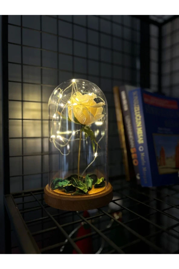 BY-LAMP Beyaz Gül Işıklı Cam Fanus Lamba Romantik Sevgililere Özel Hediye - Resim 4