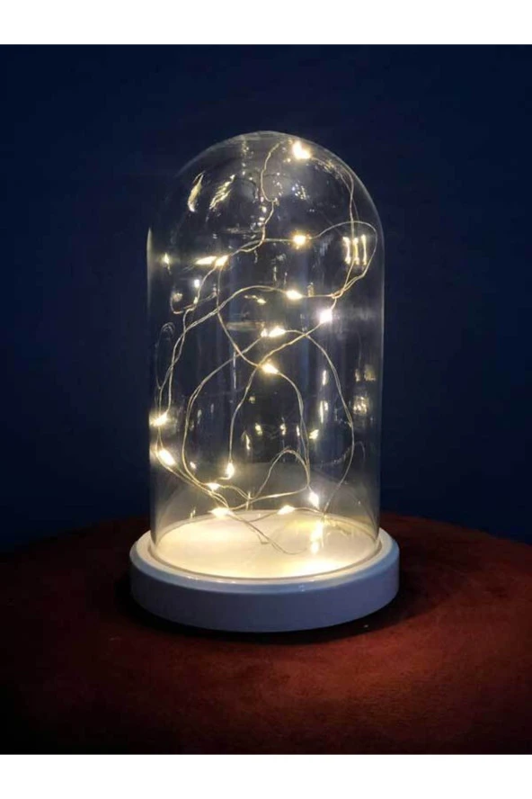 BY-LAMP Işıklı Fanus Günışığı Renk Led Gece Lambası Beyaz Taban - Resim 2