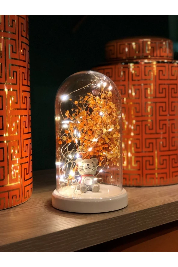 BY-LAMP Işıklı Fanus Çantalı Kedi Figürlü Led Gece Lambası Doğum Gününe Özel Hediye ürün görseli 1