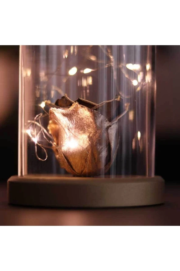 BY-LAMP Işıklı Cam Fanus Gold Solmayan Gül Lamba - Resim 2