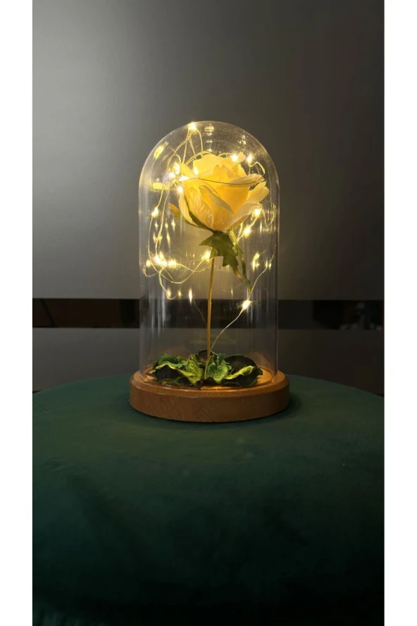 BY-LAMP Beyaz Gül Işıklı Cam Fanus Lamba Romantik Sevgililere Özel Hediye ürün görseli 1