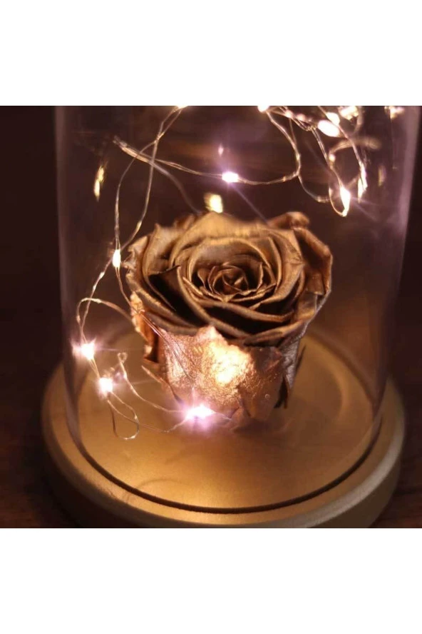 BY-LAMP Işıklı Cam Fanus Gold Solmayan Gül Lamba - Resim 3