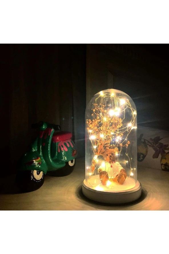 BY-LAMP Işıklı Fanus Ayı Ve Çiçek Figürlü Lamba (BEYAZ TABAN) - Resim 2