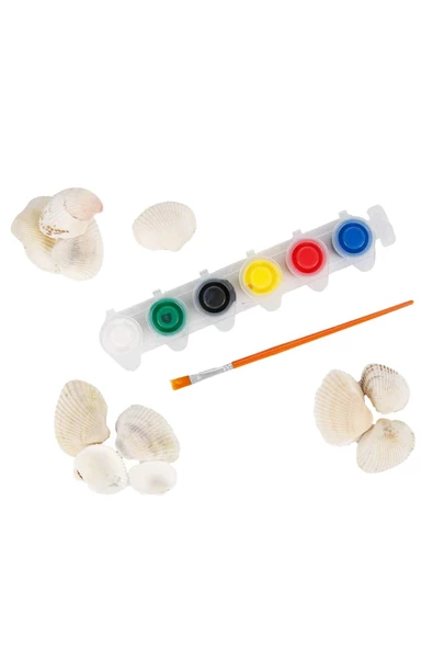 Eğlence ve Sanat Bir Arada: Crafy Art Deniz Kabuğu Boyama Seti - 6