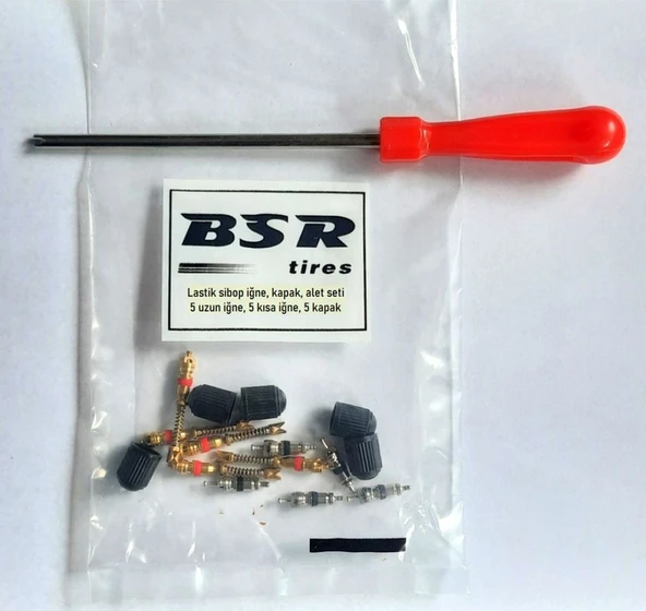 Sibop Iğnesi, Kapak Ve Uzun Tornavida Pafta Yedek Seti ürün görseli
