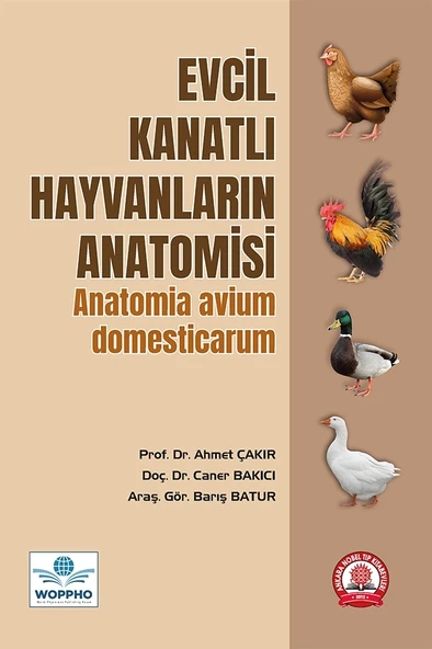 Evcil Kanatlı Hayvanların Anatomisi ürün görseli