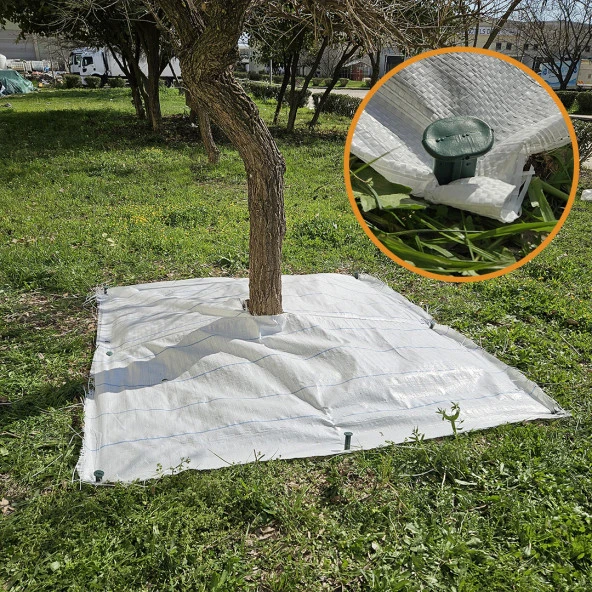 3x3 METRE AĞAÇ KORUMA ÖRTÜSÜ VE SABİTLEME ÇİVİSİ BEYAZ YER ÖRTÜSÜ YABANİ OT ENGELLEME PASPASI AĞAÇ DİBİ BEZİ SULZER KUMAŞ