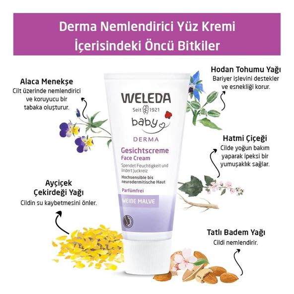 Weleda Derma Nemlendirici Yüz Kremi 50 ml ürün görseli