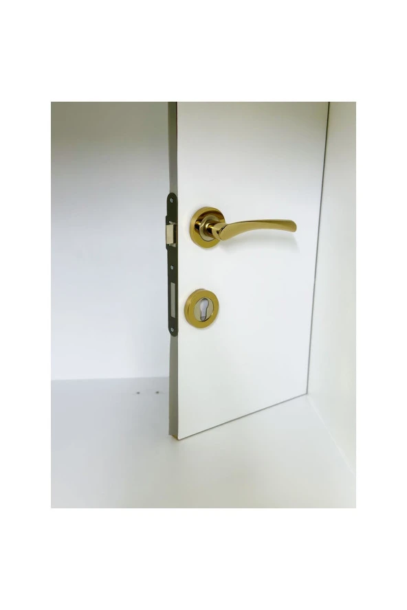 Bravo Albirifin Rozetli Kapı Kolu Yale Çelik Kapı Kolu Sol Basar 1 Adet - Resim 3