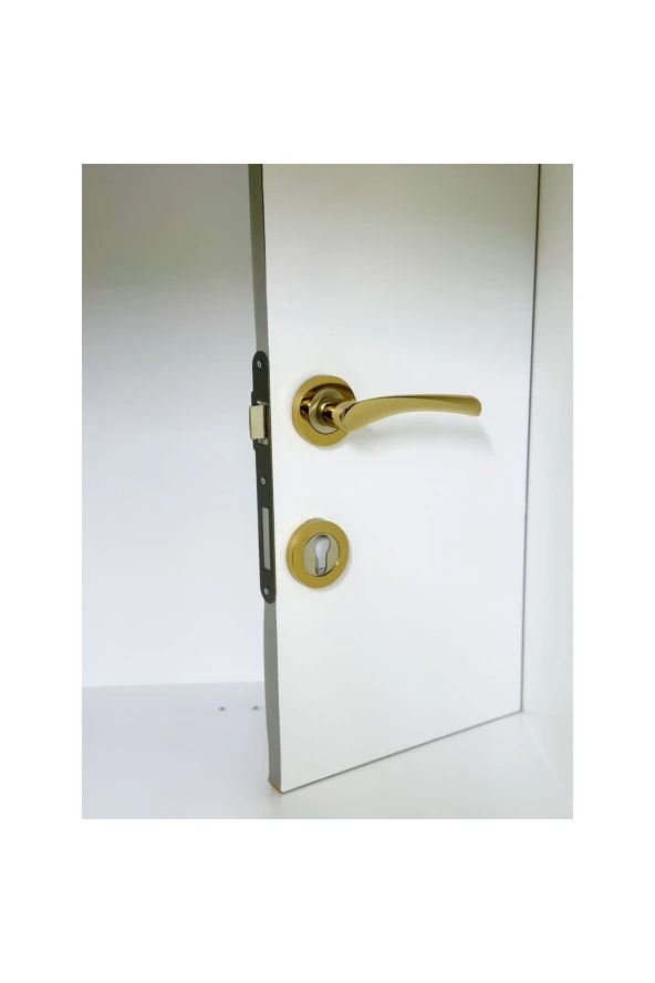 Bravo Albirifin Rozetli Kapı Kolu Çelik Kapı Kolu 1 Takım - Resim 2