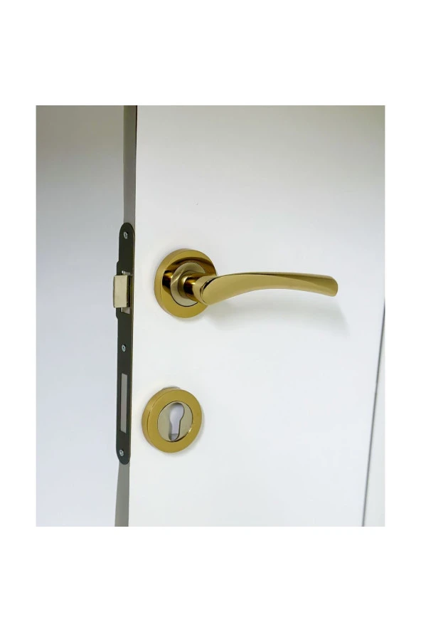 Bravo Albirifin Rozetli Kapı Kolu Çelik Kapı Kolu 1 Takım - Resim 4