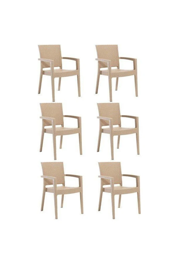 Almina Kollu Rattan Sandalye Koltuk Dayanıklı Bahçe Balkon Ve Teras Sandalyesi 6 Adet