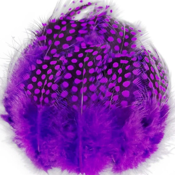 100 PCS DECOR PURPLE BIRD FEATHER 100 ADET PUANTİYELİ MOR SİYAH KUŞ TÜYÜ DEKOR MOR KUŞ TÜYÜ