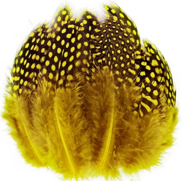 100 PCS DECOR YELLOW BIRD FEATHER 100 ADET PUANTİYELİ SARI SİYAH KUŞ TÜYÜ DEKOR SARI KUŞ TÜYÜ ürün görseli